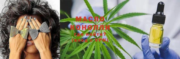 дмт Аркадак