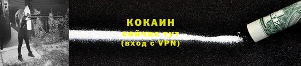ECSTASY Армянск