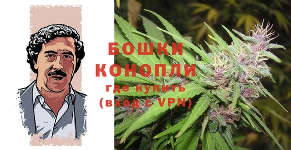 кокс Арсеньев