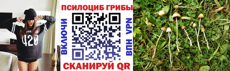 Галлюциногенные грибы Psilocybe  гидра ССЫЛКА  Сясьстрой 